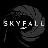 Skyfall Gun Barrel