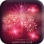 FIREWORK PARTY