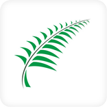 Green Cover by The Fern's