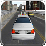 Traffic Police