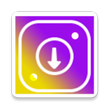 InstaSave Professional