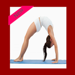 fitness exercice abdo free