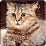 Cat Password Lock Screen