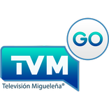 TVM Go