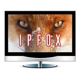 FoxTV