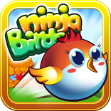 Ninja Bird