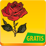 Dibujar flores