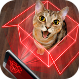 Hologram for cats. Simulator