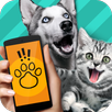 Animal Translator. Simulator APK