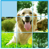 Jigsaw Puzzle - Numpuz APK