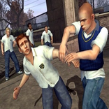Best Bully Guide