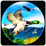 Birds Hunter 2017