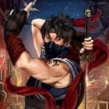 Ninja Gang Fighters