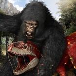 Apes Gang at War