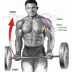 GYM Aplication New APK