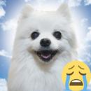 Gabe The Dog Soundboard - Dog Meme Barking APK