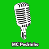 MC Pedrinho de Letras APK