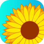 Gallery for Galaxy S8