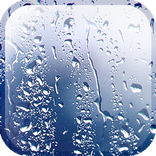 Rainy Day Live Wallpaper