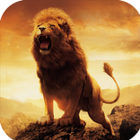Forest Wild Life Simulator 3D