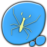 Pond Skater