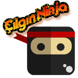 Çılgın Ninja