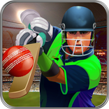 Premier League Cricket Craze