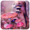 Fantasy Scenery Puzzle APK