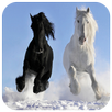 Gallop Horse Puzzles APK