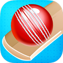 Cricket Bat Ball Hit 3D APK