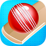 Cricket Bat Ball Hit 3D