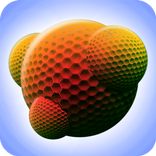 Spore.io