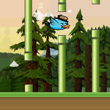 Flimsy Bird