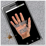 Fake Spider Fun