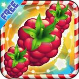 GARDEN FEVER