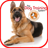 Dog Training