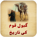 History of Gabol Dyansty (Urdu Book) APK