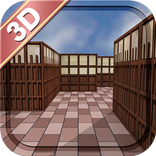 Maze Run 3D