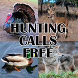 Hunting Calls