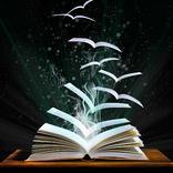 Книжная библиотека