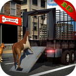 Pet Home Delivery: Van