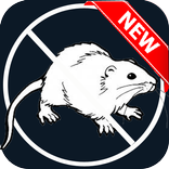 Anti mouse