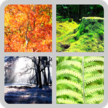 4 Picture 1 Word