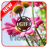 Flower GIF Collection
