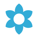 Blue Force