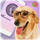 犬の翻訳