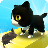 Zara Cat - Games of the Month
