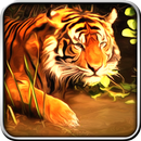 APK Tiger Simulator 3D
