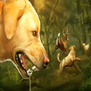 Hunt It : Deer Hunter 2019 APK