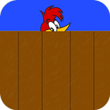 Woodpecker videos
